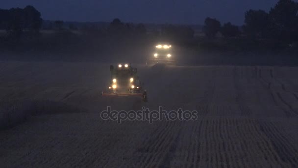 Össze a fények a búzamező Farm küszöb este. 4k — Stock videók