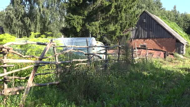 Land tuin overwoekerd gras en houten hek op de zomer. 4k — Stockvideo