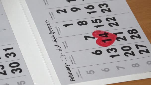 赤いトランスバール デイジーの花が描かれているハート形の近くにカレンダーに横たわって — ストック動画