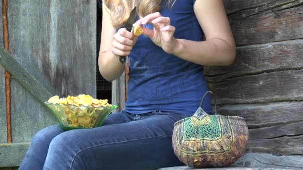 Les mains des agricultrices nettoient la saleté des champignons chanterelle. 4K — Video