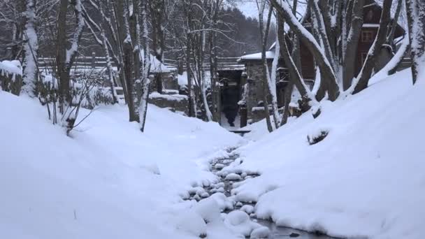 De waterstroom van besneeuwde creek in winter park kanaal. Sneeuw vallen. Uitzoomen. 4k — Stockvideo