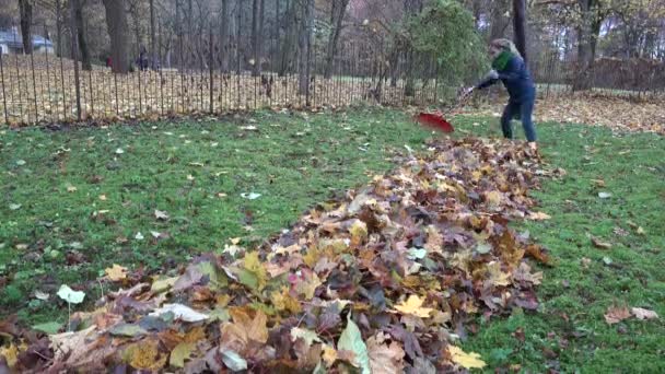 Custode donna in ordine foglie in giardino cortile. 4K — Video Stock