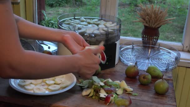 Séchage des fruits. Gros plan. 4K — Video