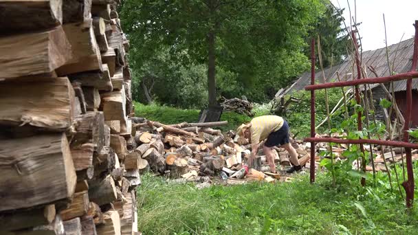 O camponês de calções prepara a lenha. 4K — Vídeo de Stock