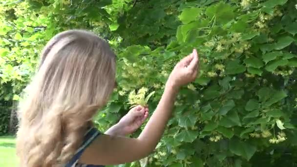 Meisje oprapen gele linden hand bij de zomer. Seizoensgebonden kruid plukken. 4k — Stockvideo