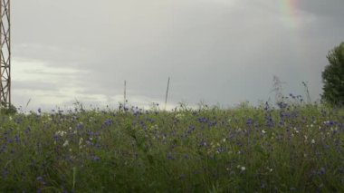 Bulutlu gökyüzü yüksek gerilim elektrik kutbu yakınındaki renkli gökkuşağı ile. 4k