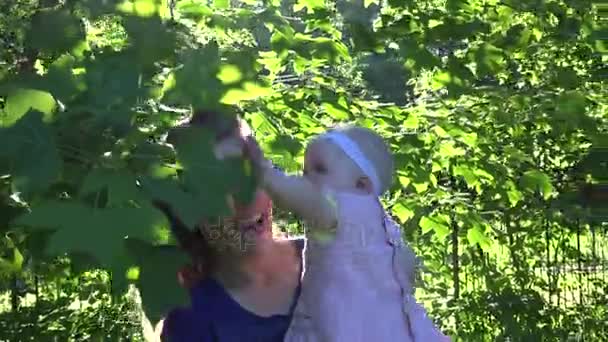Радостная мамочка с дочкой веселятся между ветвями тюльпанового дерева. 4K — стоковое видео