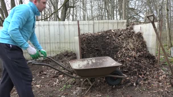 Rolnik człowiek z widelcem załadować humus zgniłe kompostu do barrow. 4k — Wideo stockowe