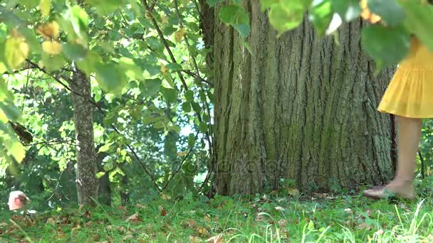 La femmina di collaboratore esterno in vestito si siede vicino a tronco d'albero e inizia a usare il computer portatile in parco soleggiato. 4K — Video Stock