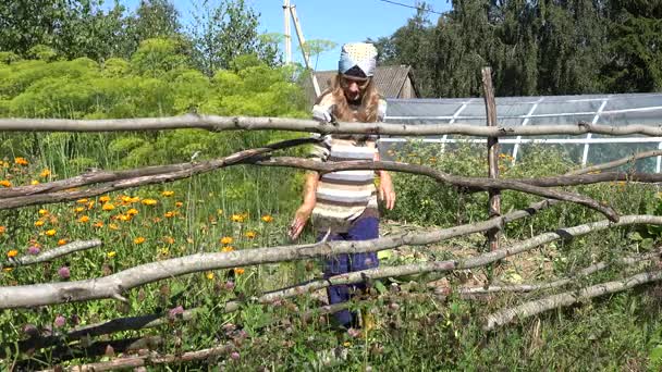 Agricultor mulher escolher endro fresco no próprio jardim ecológico no verão. 4K — Vídeo de Stock