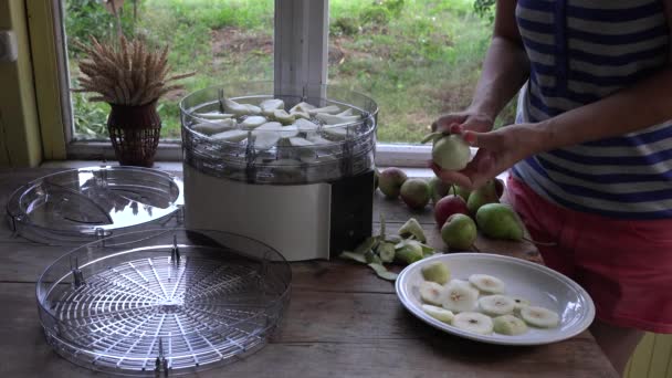 Дівчина руки лущиться і нарізає груші на столі біля сушарки для їжі. 4-кілометровий — стокове відео