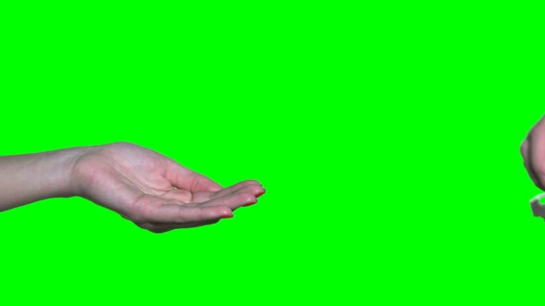 Manlig hand hålla lägenhetsnycklarna och ge till kvinnliga person isolerad på grön — Stockvideo