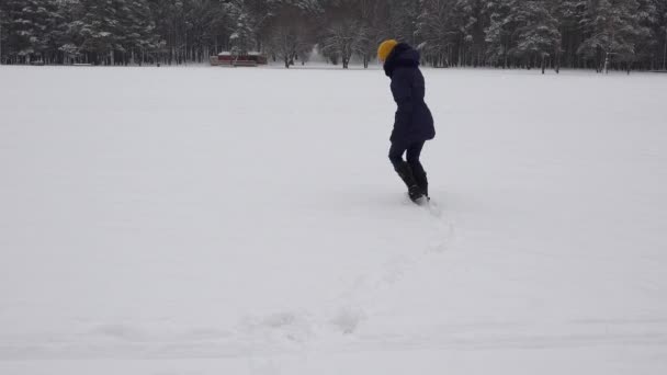 Mulher andando na neve formando pegadas de forma de coração no inverno. 4K — Vídeo de Stock