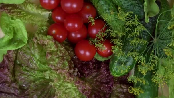 Tomate pepino lechuga eneldo verduras. giradiscos en sentido contrario a las agujas del reloj — Vídeo de stock