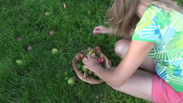 Frau pflückt Birnenfrüchte aus Gras. Nahaufnahme. 4k — Stockvideo