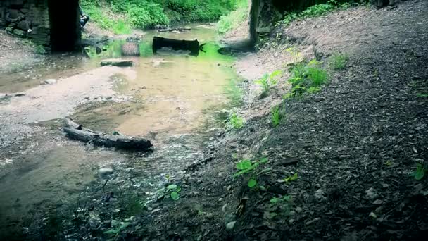 Ruscello di acqua di sorgente e la religione folla sacerdote, pellegrino, credente pregare — Video Stock