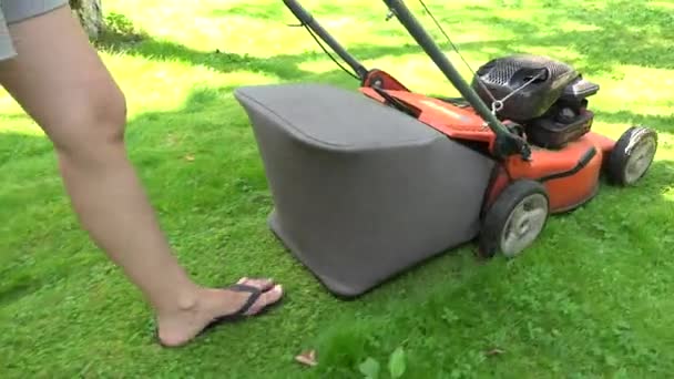 Tuinman vrouw in korte broek push grasmaaier snijden weide gras. 4k — Stockvideo