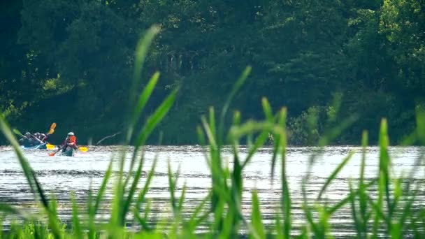 Equipo de deportes par de carreras en canoa en el río de agua salvaje a través de cañas . — Vídeos de Stock