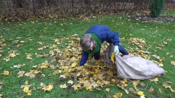 Mulher trazer folhas em saco de tecido no jardim. Trabalho sazonal. 4K — Vídeo de Stock