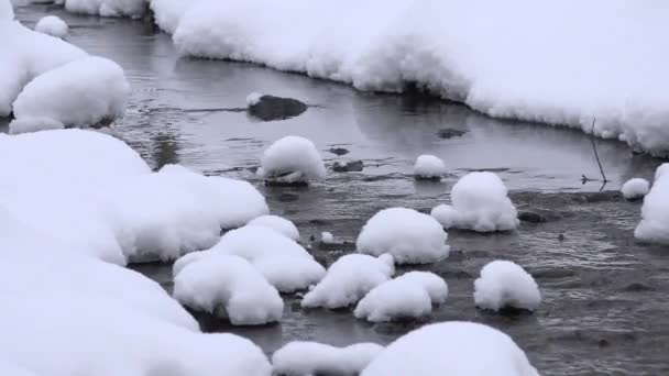 Zoom fuera del arroyo después de nevadas frescas en el parque de invierno. 4K — Vídeos de Stock