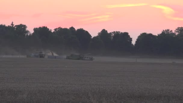 Die Dunkelheit bricht über den Mähdrescher herein, der das geerntete Getreide auf den Lastwagen verlädt. 4k — Stockvideo