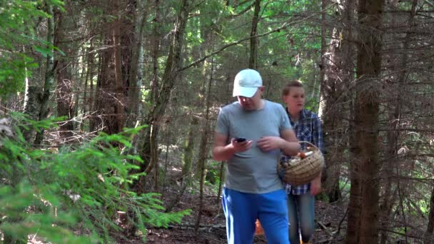 Boze man en vrouw verdwaald in bos. Man met behulp van telefoon navigatie — Stockvideo