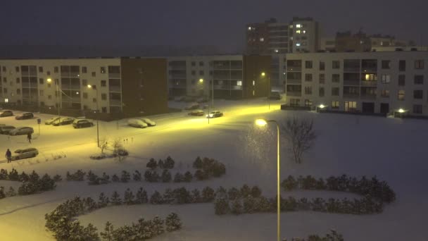 Snöstorm mellan innergårdar med täckta av pinjeskogar snö i mörkret. 4k — Stockvideo