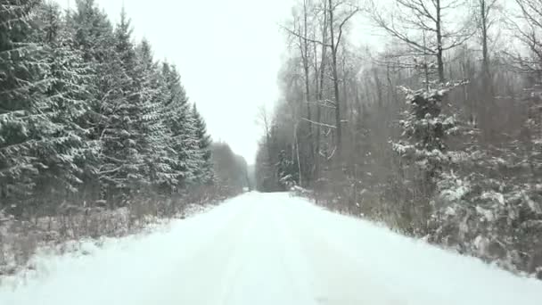 Snöig väg i skogen träd vid kall vintertid. 4k — Stockvideo