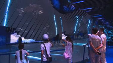 Expo Fuarı ziyaret edenler okyanus zemin projeksiyonlar Monaco pavilion tadını çıkarın.