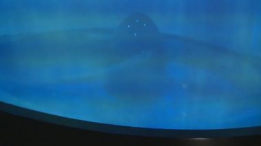 su düşmek veya kullanım elektrik üretimi akış. su türbini