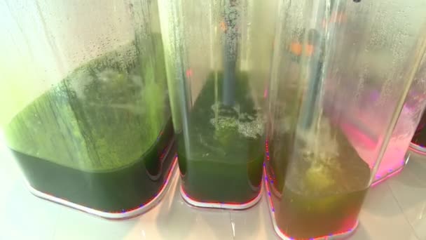 Процесс генерации биотоплива. Цветная жидкость в прозрачном резервуаре . — стоковое видео