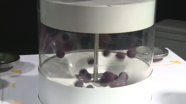 사람이 핸들을 사용 하 여 대화형 박람회 서 분자 움직임을 보여주는 — 비디오