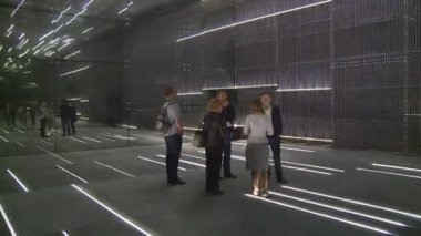 kadın show lazer ışık Fuar Litvanya Expo pavyon ziyaretçi Kılavuzu