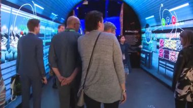 Rusya Expo 2017 Uluslararası Fuar Pavyonu insanlarda turizm