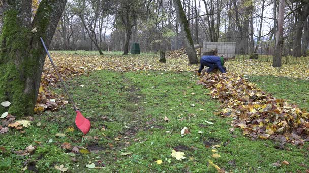 Zaměstnankyně sbírat suché listí do materiálu vak pytel a odnést do kompostu. 4k — Stock video