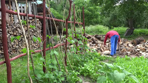 Homme fendu bois près du jardin de campagne. Travail de saison dans un hangar à bois. 4K — Video