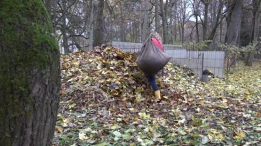 Çiftçi kadın ağır çuval yaprakları tam taşımak ve büyük kompost yığını üzerinde dökümü. 4k