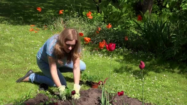 Joven embarazada plantando flores en el jardín — Vídeo de stock