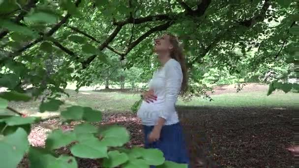 Happy pregnant woman under tree branches. Leaves move in wind. Pregnancy — Stock Video