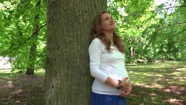 Feliz embarazada soñando y acariciando tierna su vientre con amor en el parque — Vídeos de Stock
