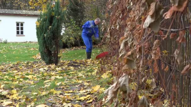 Людина з інструментом граблів, що грабує листя на вулиці в холодний осінній день у дворі будинку. 4-кілометровий — стокове відео
