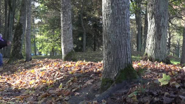 père s'amuse avec sa petite fille dans le parc d'automne. 4K 