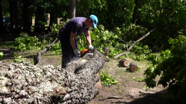 Hobbygärtner sägt gefällten Baumstamm im Gartenhof — Stockvideo