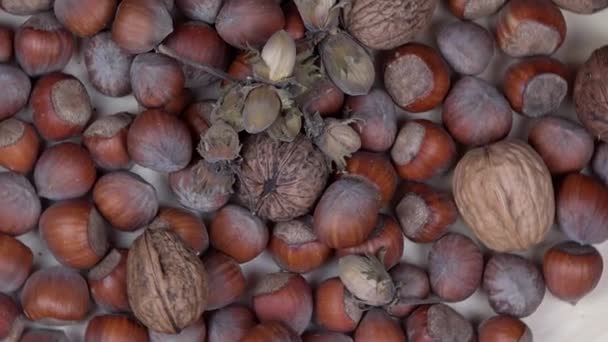 Avellanas y nueces secas. Comida saludable. giradiscos — Vídeo de stock