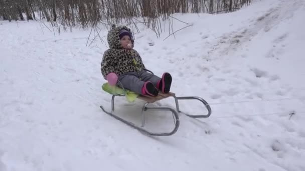 Schattige baby rijden op slee in winter park. Handheld. 4k — Stockvideo