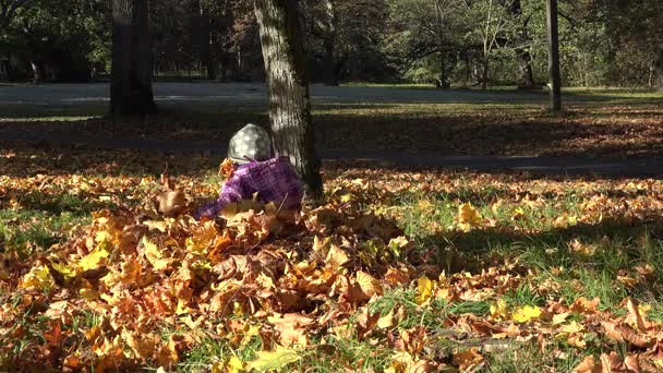 Dítě dítě a krásná matka hraje venkovní v podzimním parku. 4k — Stock video