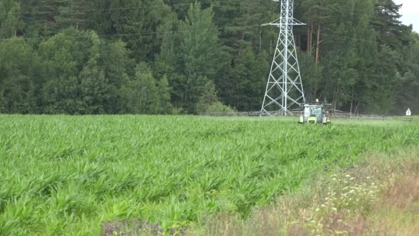 Tractor spray fertilizar campo de maíz con productos químicos cerca de la carretera. 4K — Vídeos de Stock