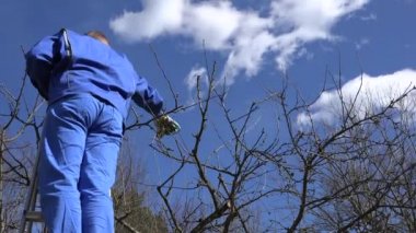 profesyonel bahçıvan adam budayıcı bahar bahçe ile çalışırsınız. 4k