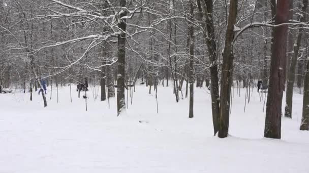 Föräldrar med barn och barnvagn ska på promenad i parken vinter snö falla. — Stockvideo