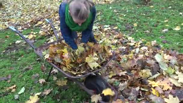 Gärtnerin lädt rostigen Karren mit Blättern in herbstlichen Garten. Handheld. 4k — Stockvideo